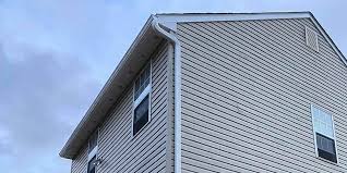 Best Custom Trim and Detailing for Siding  in Holiday, FL